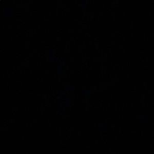 Meet your Posher, Bennett